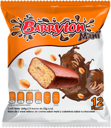 [1104-08-027] BARRYTON MANI 24X12
